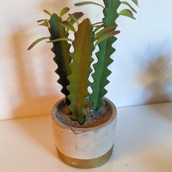 Ashland Other - NWT Ashland Faux Triple Succulent Plant As-Is Pot Floral Michael's Desert Summer